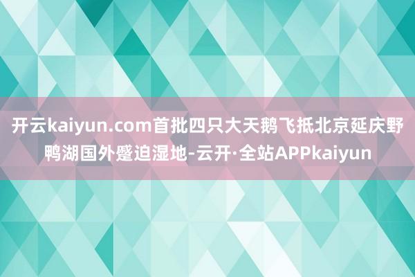 开云kaiyun.com首批四只大天鹅飞抵北京延庆野鸭湖国外蹙迫湿地-云开·全站APPkaiyun