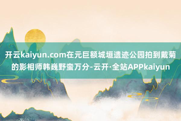 开云kaiyun.com在元巨额城垣遗迹公园拍到戴菊的影相师韩巍野蛮万分-云开·全站APPkaiyun